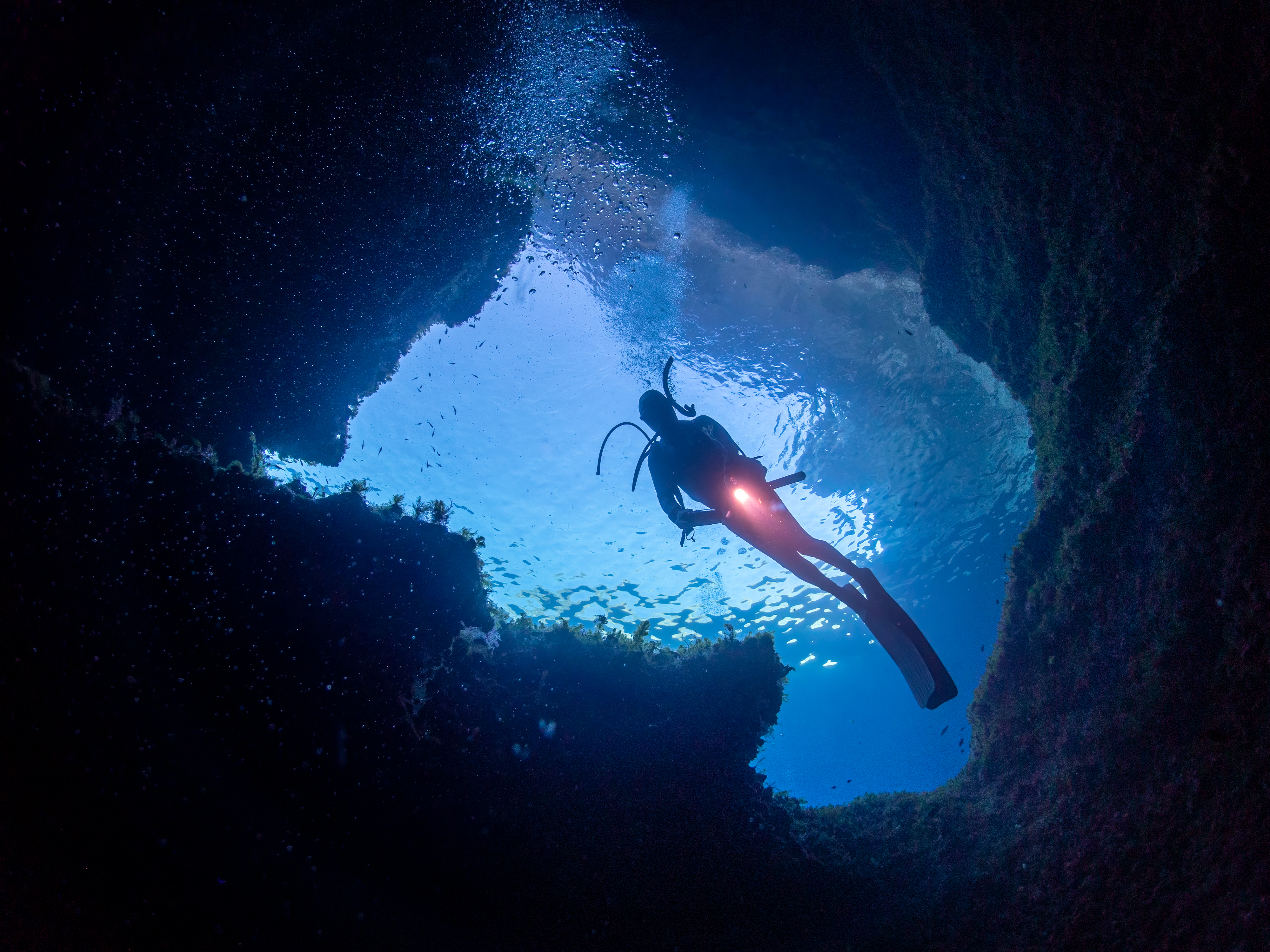 Marine Background